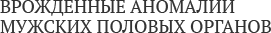 Фото: Врожденные аномалии мужских половых органов